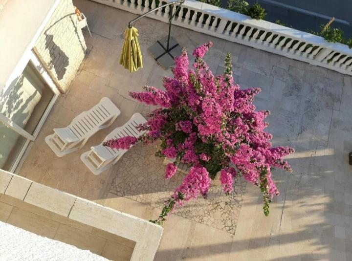 Apartments & Rooms Mila Banjol Luaran gambar